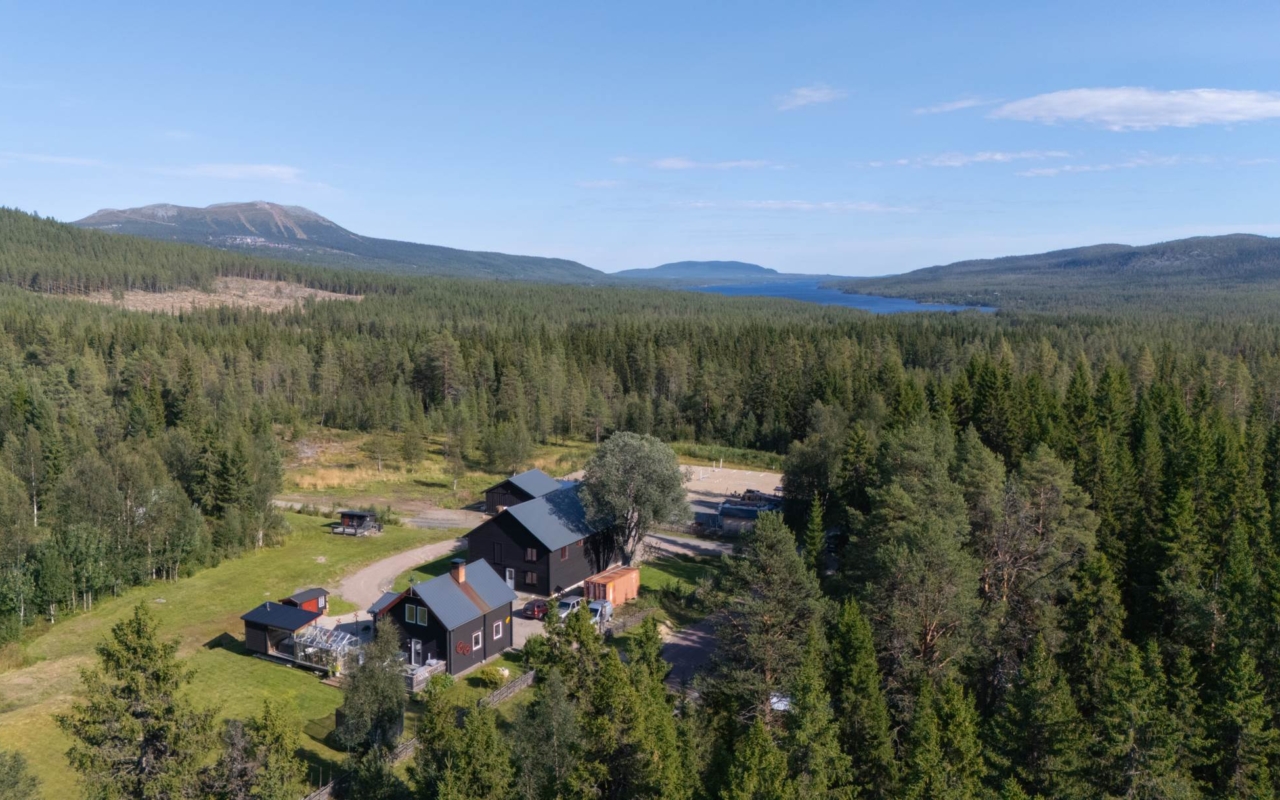 lofsdalenfastighet