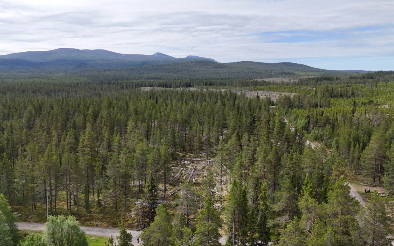 lofsdalenfastighet