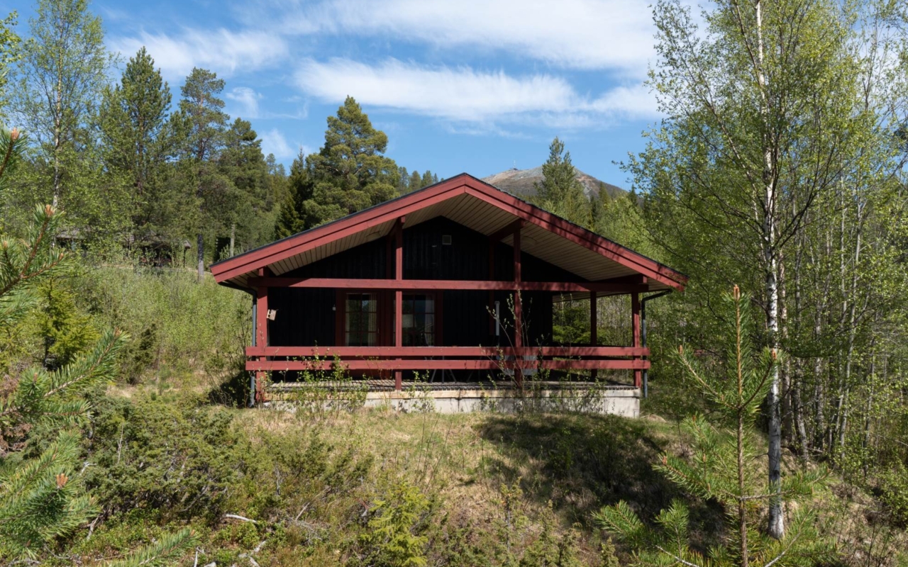 lofsdalenfastighet