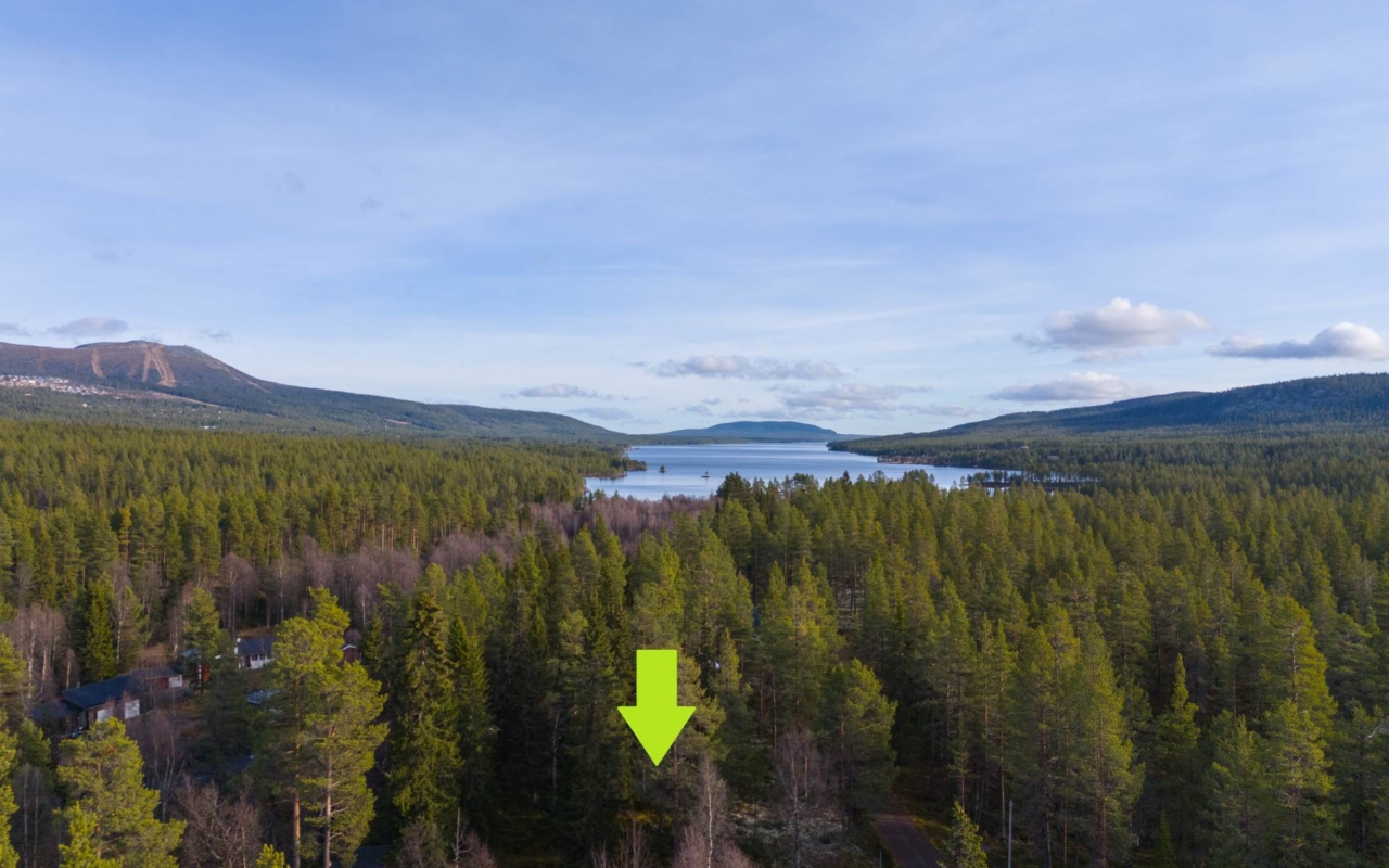 lofsdalenfastighet
