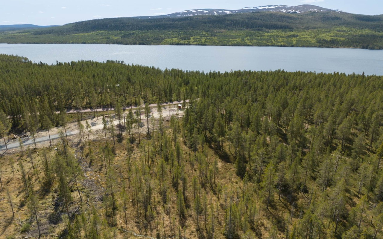 lofsdalenfastighet