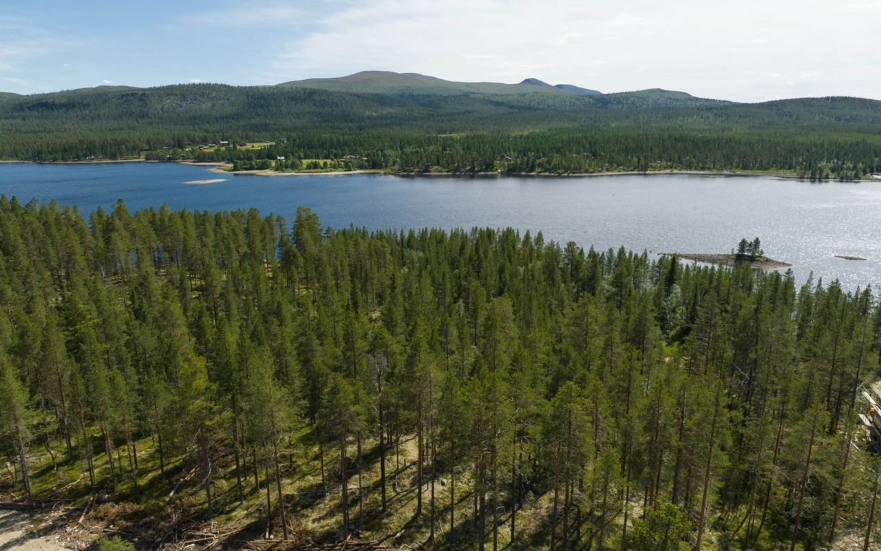 lofsdalenfastighet