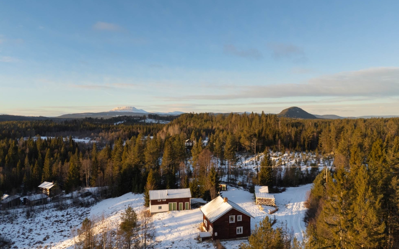 lofsdalenfastighet