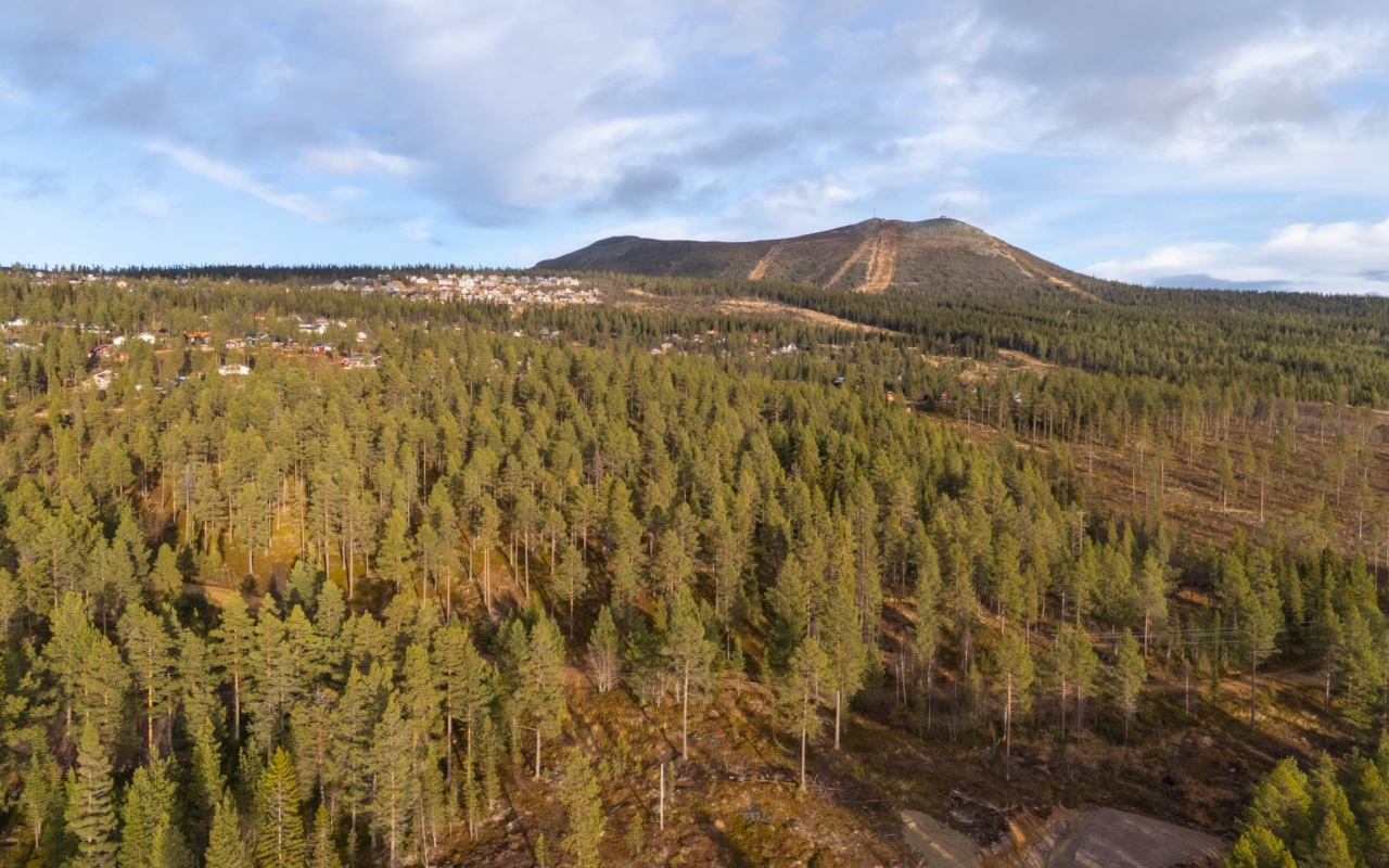 lofsdalenfastighet