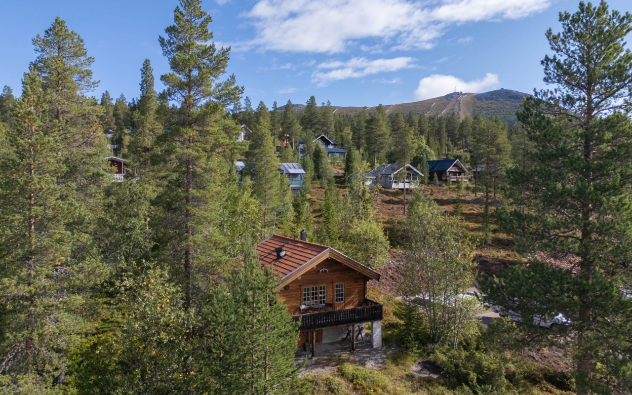 lofsdalenfastighet