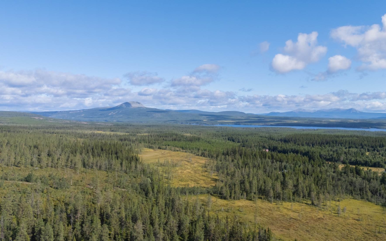 lofsdalenfastighet