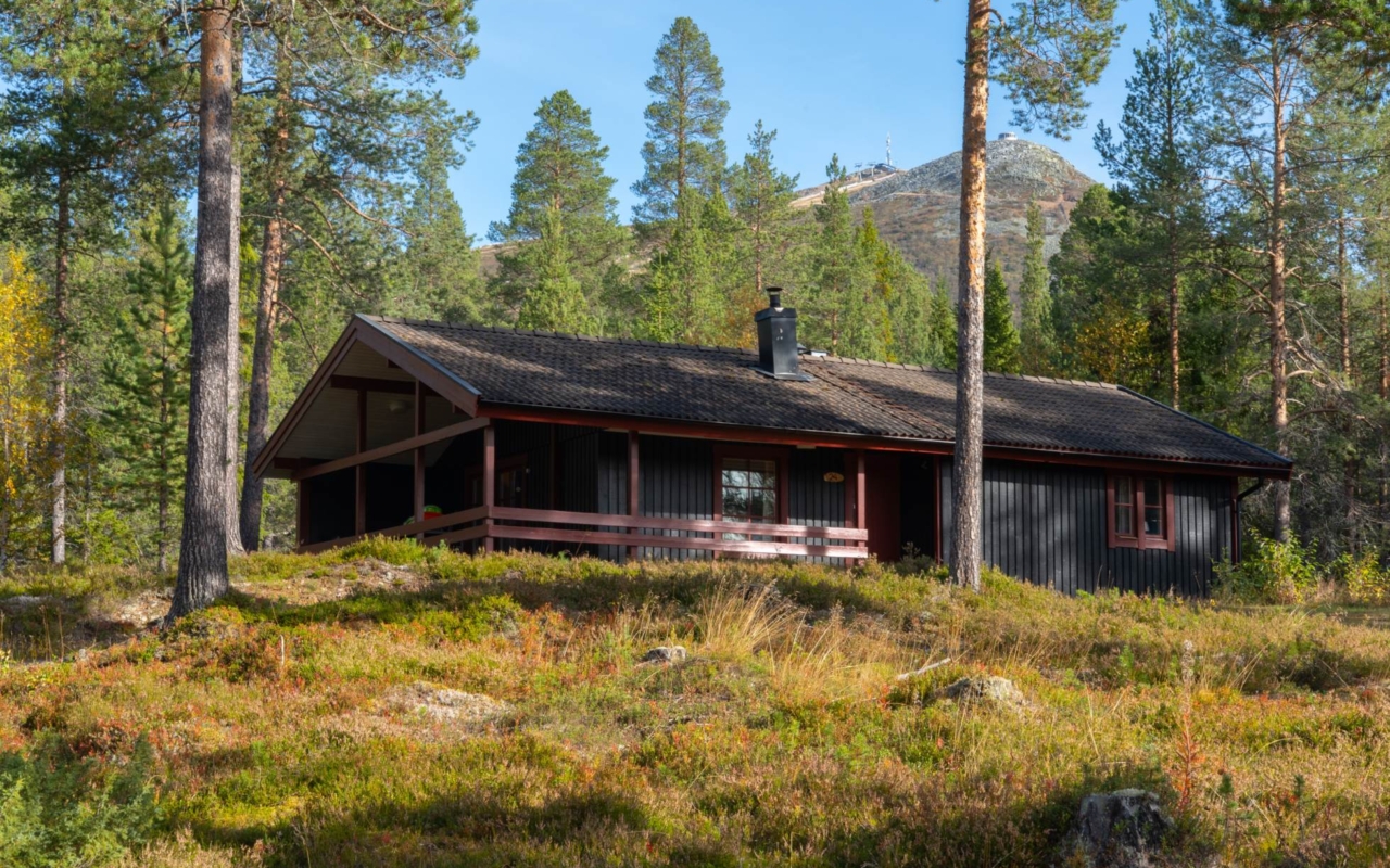 lofsdalenfastighet