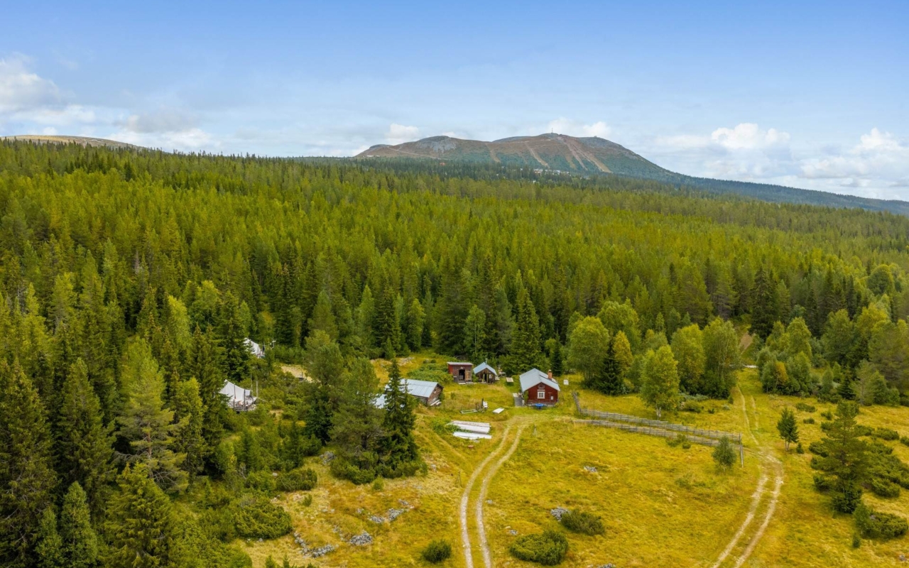 lofsdalenfastighet